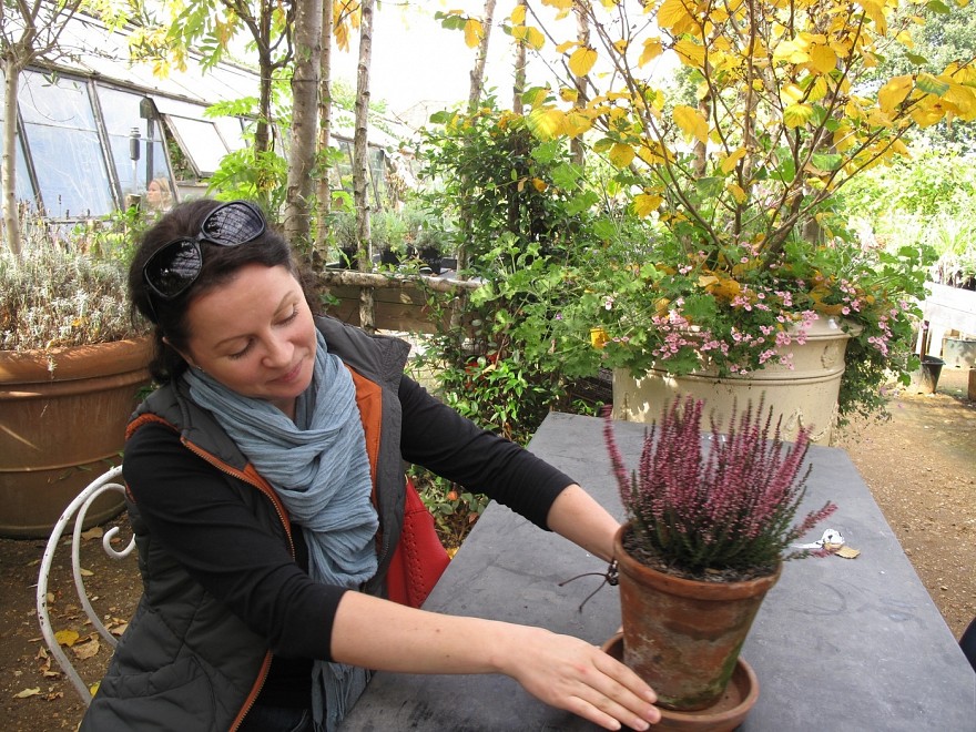 Petersham Nurseries kavinė Richmond'e.