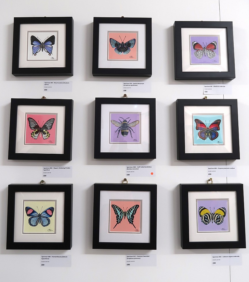 New Artist Fair 'Summer Exhibition' 2017.