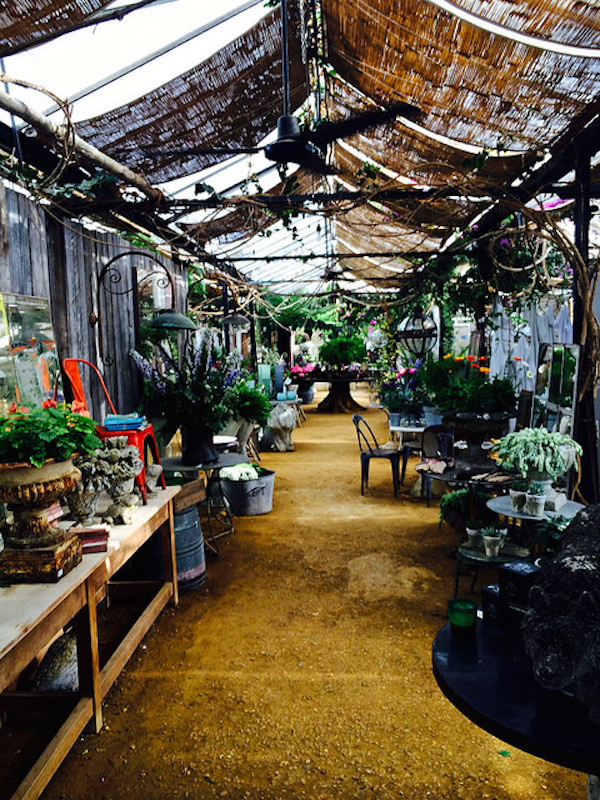 Petersham Nurseries. Flickr nuotr. Herry Lawford
