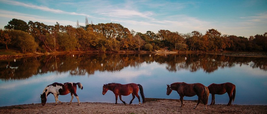 Foto: visit-hampshire.co.uk.