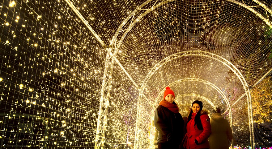 The Pea-light tunnel. Credit: Jeff Eden, RBG Kew.