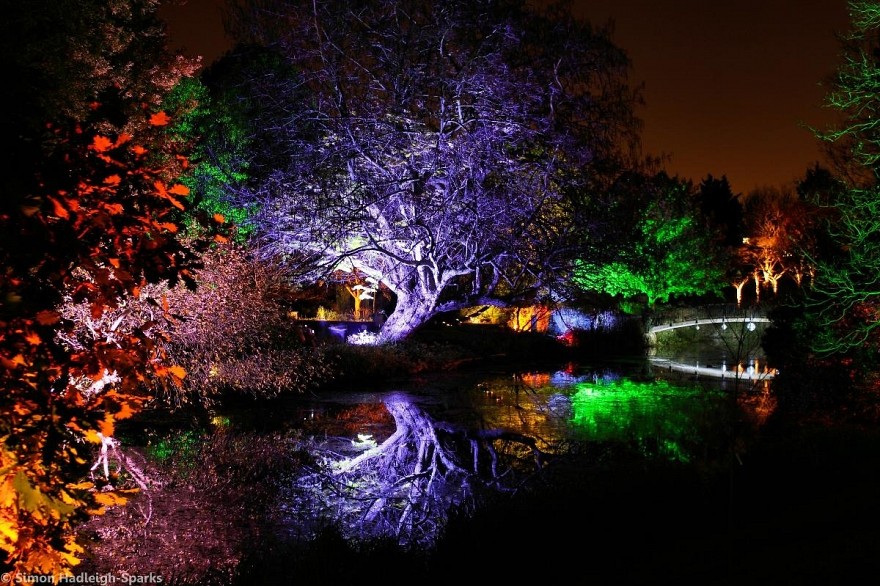 www.enchantedwoodland.com