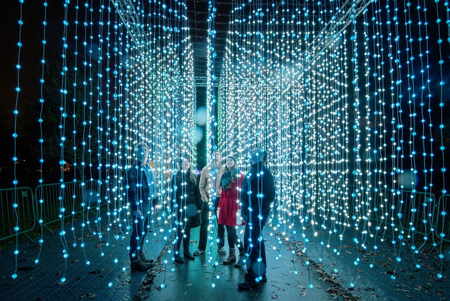 Squid Soup illuminations. Credit: Jeff Eden, RBG Kew.