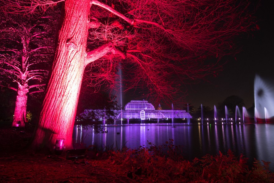 Palm House illuminations. Credit: Jeff Eden, RBG Kew.